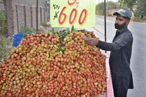A vendor displaying seasonal fruit (lychee) to attract the customers on his handcart at roadside.