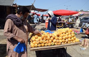 A vendor arranges and displays mangoes on his cart to attract customers at the Fruit and Vegetable Market in the Federal Capital.
