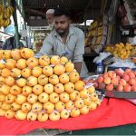 A fruit vendor displays a pyramid of freshly harvested mangoes alongside peaches, bananas and dates at a fruit stall at weekly bazaar H-9, Federal Capital