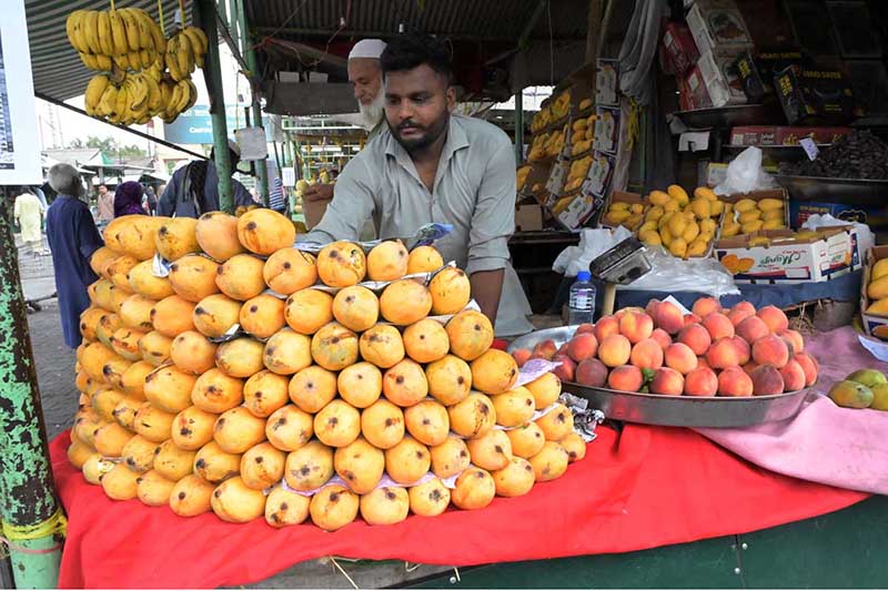 A fruit vendor displays a pyramid of freshly harvested mangoes alongside peaches, bananas and dates at a fruit stall at weekly bazaar H-9, Federal Capital