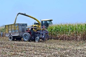 Farmers harvest maize using machinery during the ongoing harvesting season in the district.