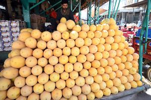 A vendor arranges and displays mangoes on his cart to attract customers at the Fruit and Vegetable Market in the Federal Capital.