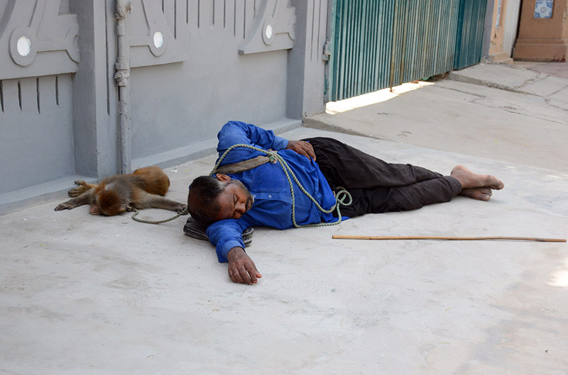 A juggler takes a nap with his pet monkey after getting tired in the scorching heat outside a house along a city street