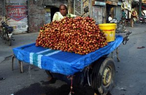 A woman vendor displays and sells seasonal litchis to attract customers.