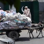 An elderly man carries empty plastic bags on a donkey cart in the scorching summer heat to earn a livelihood and support his children