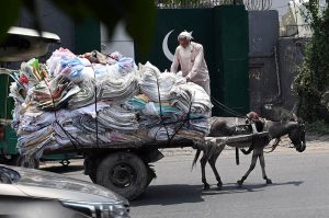 An elderly man carries empty plastic bags on a donkey cart in the scorching summer heat to earn a livelihood and support his children
