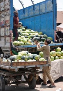 Workers off-loading watermelons from delivery truck at Vegetable and Fruit Market.