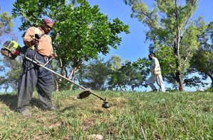 A CDA worker trims grass along a green belt in the scorching heat as part of efforts to maintain and enhance the beauty of the federal capital.