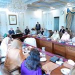 Women parliamentarians of PML (N) met Prime Minister Muhammad Shehbaz Sharif