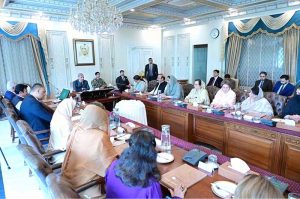 Women parliamentarians of PML (N) met Prime Minister Muhammad Shehbaz Sharif