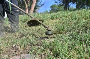 A CDA worker trims grass along a green belt in the scorching heat as part of efforts to maintain and enhance the beauty of the federal capital.