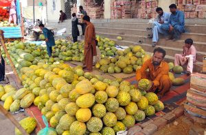 Traders arrange and display heaps of seasonal melons at a wholesale fruit market as buying and selling activity continues in the city