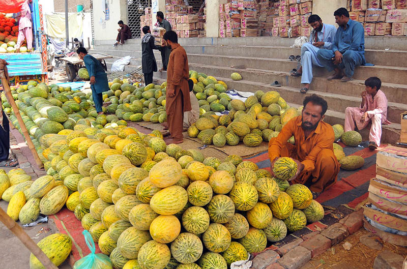 Traders arrange and display heaps of seasonal melons at a wholesale fruit market as buying and selling activity continues in the city