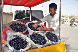 A street vendor arranges and decorates jamun (Indian blackberry) at his roadside stall to attract customers in provincial capital.