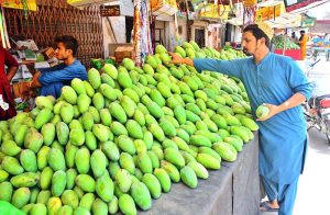 A vendor displaying the seasonal fruit mangoes to attract the customers at old fruits market.