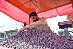 A vendor arranging and displaying mangoes on his cart to attract the customers at Qanchi Moor