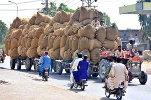 A tractor trolley overloaded with wheat husk (chaff) passes through the city,as labourers sit atop the stacked sacks during transportation.