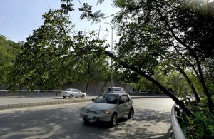 A tree leans dangerously over a busy road, posing a serious risk to commuters, after strong winds and a storm lashed the city last night.
