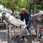 A man giving water in shopping bag to his donkey at Muradabad