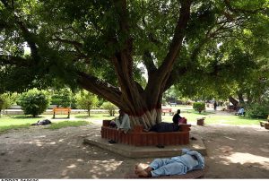 People resting under the shade of trees during scorching summer heat at Company Bagh.