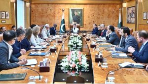 First Lady Bibi Asifa Bhutto Zardari in a meeting with UN Country Team led by Mohamed Yahya, UN Resident Coordinator in Pakistan at Aiwan-e-Sadr.