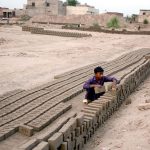 A youngster arranges freshly made raw bricks for drying at a brick-making site, as workers continue their daily labour for livelihood