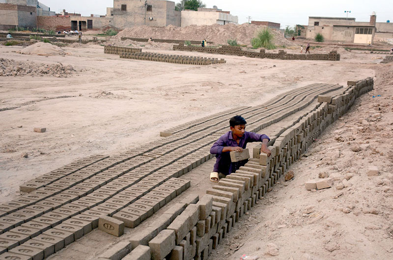A youngster arranges freshly made raw bricks for drying at a brick-making site, as workers continue their daily labour for livelihood