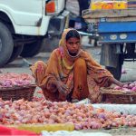 A female labourer is busy sorting fresh onions at the Vegetable Market, separating quality produce for sale to support her family's livelihood