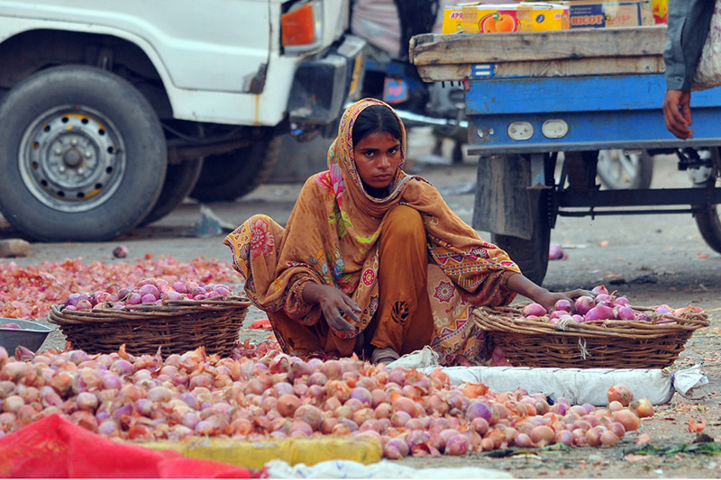 A female labourer is busy sorting fresh onions at the Vegetable Market, separating quality produce for sale to support her family's livelihood