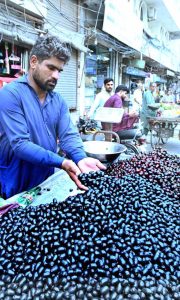 A vendor arranges to sell seasonal Java plum and cherries on his handcart to attract customers.