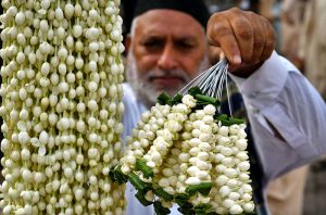 Wholesale vendors display and sell fresh rose flowers and flower petals at the wholesale flower market in the city.