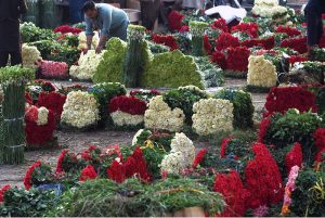 Wholesale vendors display and sell fresh rose flowers and flower petals at the wholesale flower market in the city.