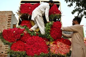 Wholesale vendors display and sell fresh rose flowers and flower petals at the wholesale flower market in the city.