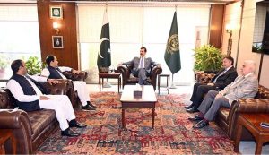 A delegation comprises Andrea Costantino, Investment Director/expert in energy markets, Fabio Scacciavillani, Founding Partner Nextperience and Yasir M. Bajwa, President AMB Techno in a meeting with Chairman Senate Syed Yousaf Raza Gilani