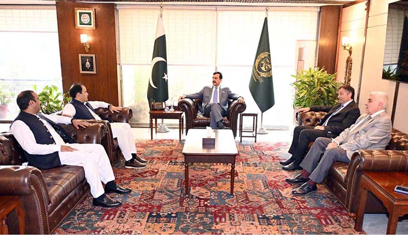 A delegation comprises Andrea Costantino, Investment Director/expert in energy markets, Fabio Scacciavillani, Founding Partner Nextperience and Yasir M. Bajwa, President AMB Techno in a meeting with Chairman Senate Syed Yousaf Raza Gilani