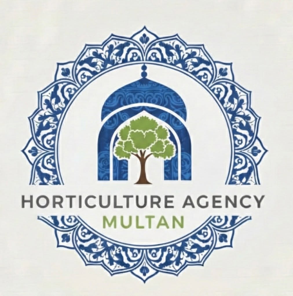 MHA