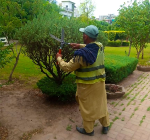 HAR intensifies greening efforts at Al-Furqan Park