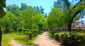 HAR launches special campaign to enhance Atta-ur-Rehman Shaheed Park