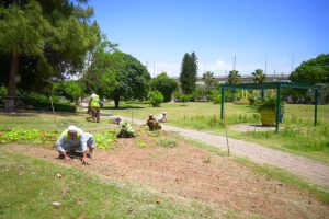 Rawal Park refreshed with post-Eid cleaning, landscaping works
