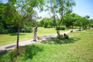 Rawal Park refreshed with post-Eid cleaning, landscaping works