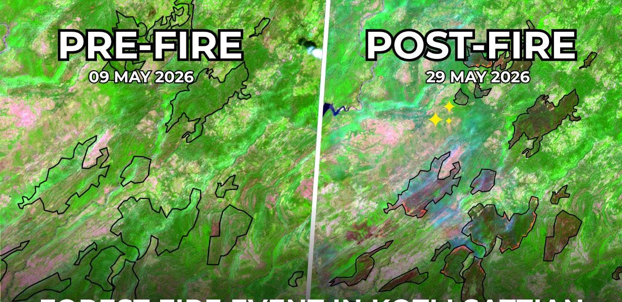 Forest fire destroys over 3,000 hectares in Kotli Sattian amid heatwave