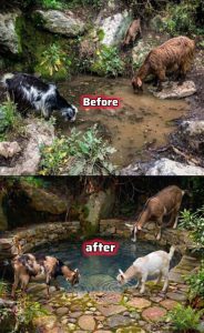Youngster praised for building water ponds, feeding points for thirsty birds amid intense heat
