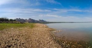 Drying Namal Lake forces flamingoes to relocate, underscores stronger wetland conservation need