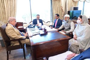 MNAs call on Prime Minister Shehbaz Sharif