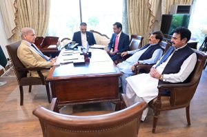 MNAs call on Prime Minister Shehbaz Sharif