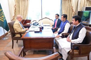 MNAs call on Prime Minister Shehbaz Sharif