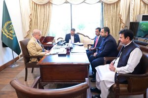 MNAs call on Prime Minister Shehbaz Sharif