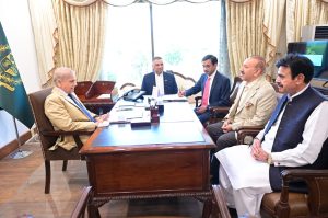 MNAs call on Prime Minister Shehbaz Sharif