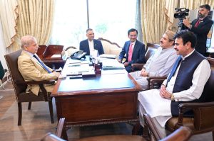 MNAs call on Prime Minister Shehbaz Sharif