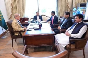 MNAs call on Prime Minister Shehbaz Sharif
